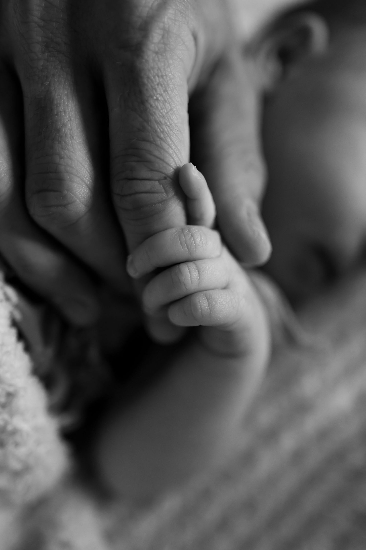 Close-up black and white detail shots of father and newborn hands touching created by Storms Photography in Pennsylvania.