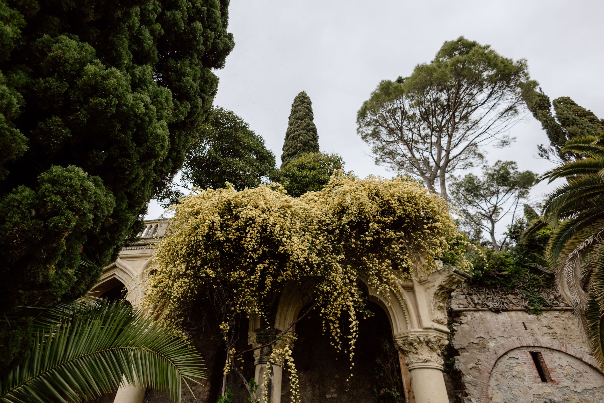 Palm trees and tropical plants line a winding pathway through a lush Mediterranean garden in summer. Destination wedding photographer.