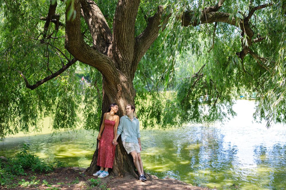 Newly engaged couple smiling and holding hands at the San Remo lookout in Central Park with a large tree above them.