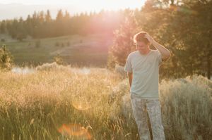A sunset-lit meadow scene with a soft golden glow filtering through silhouetted trees.