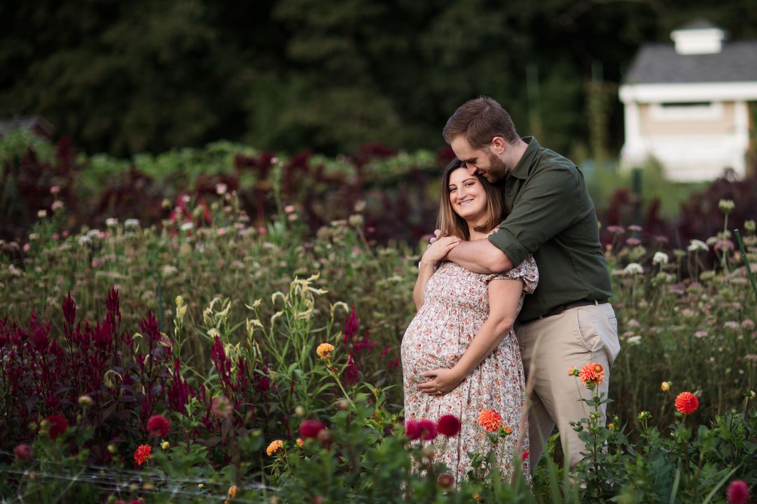 Tree farm mini sessions