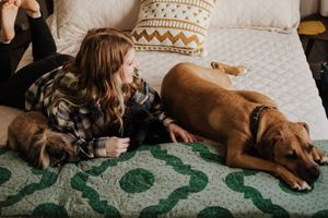 A relaxing scene on a patterned bedspread with a person and dogs lounging together.  Indoor Lifestyle Session Denton Texas