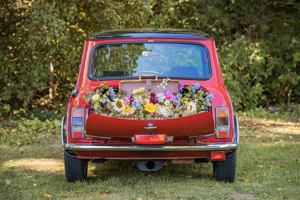 styled photography senior mini session with red classic mini Cooper car and seasonal flowers