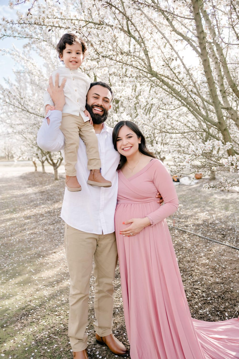 Family portrait under cherry blossom trees with toddler being lifted in air, Livermore, CA
