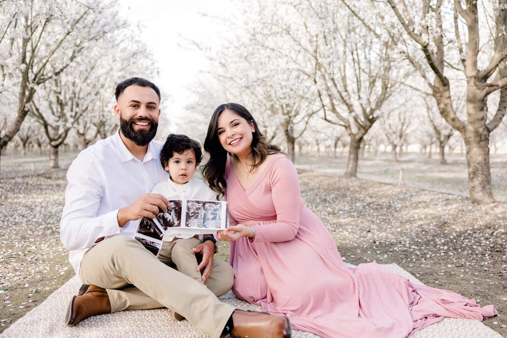 Family portrait under cherry blossom trees with toddler being lifted in air, Bay Area, CA