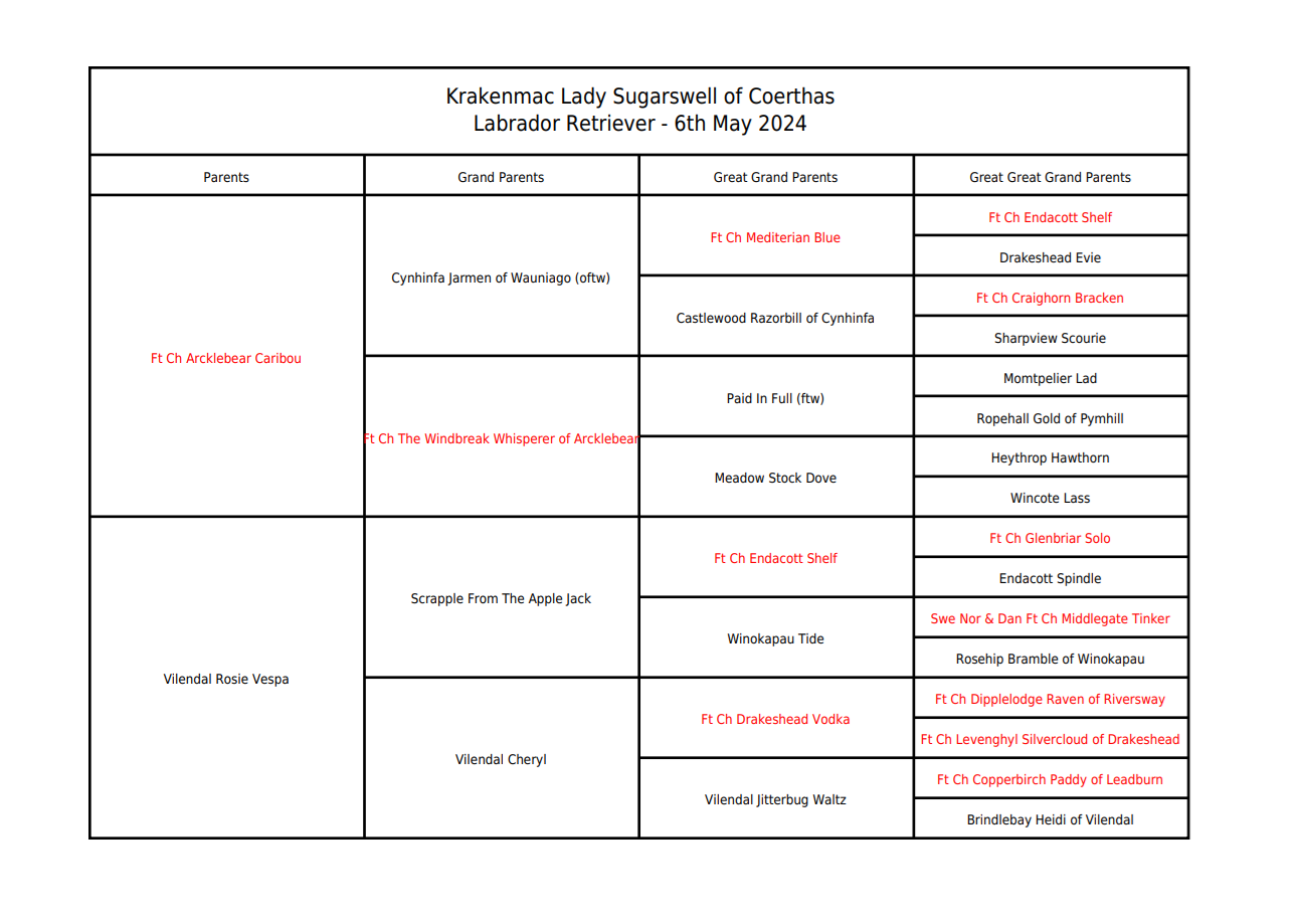 Labrador Retriever pedigree chart for Krakenmac Lady Sugarswell of Coerthas