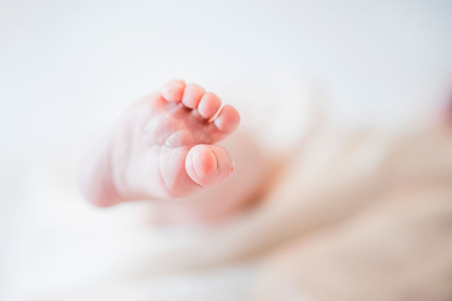 A tiny newborn baby's foot with delicate toes wrapped in soft white fabric.