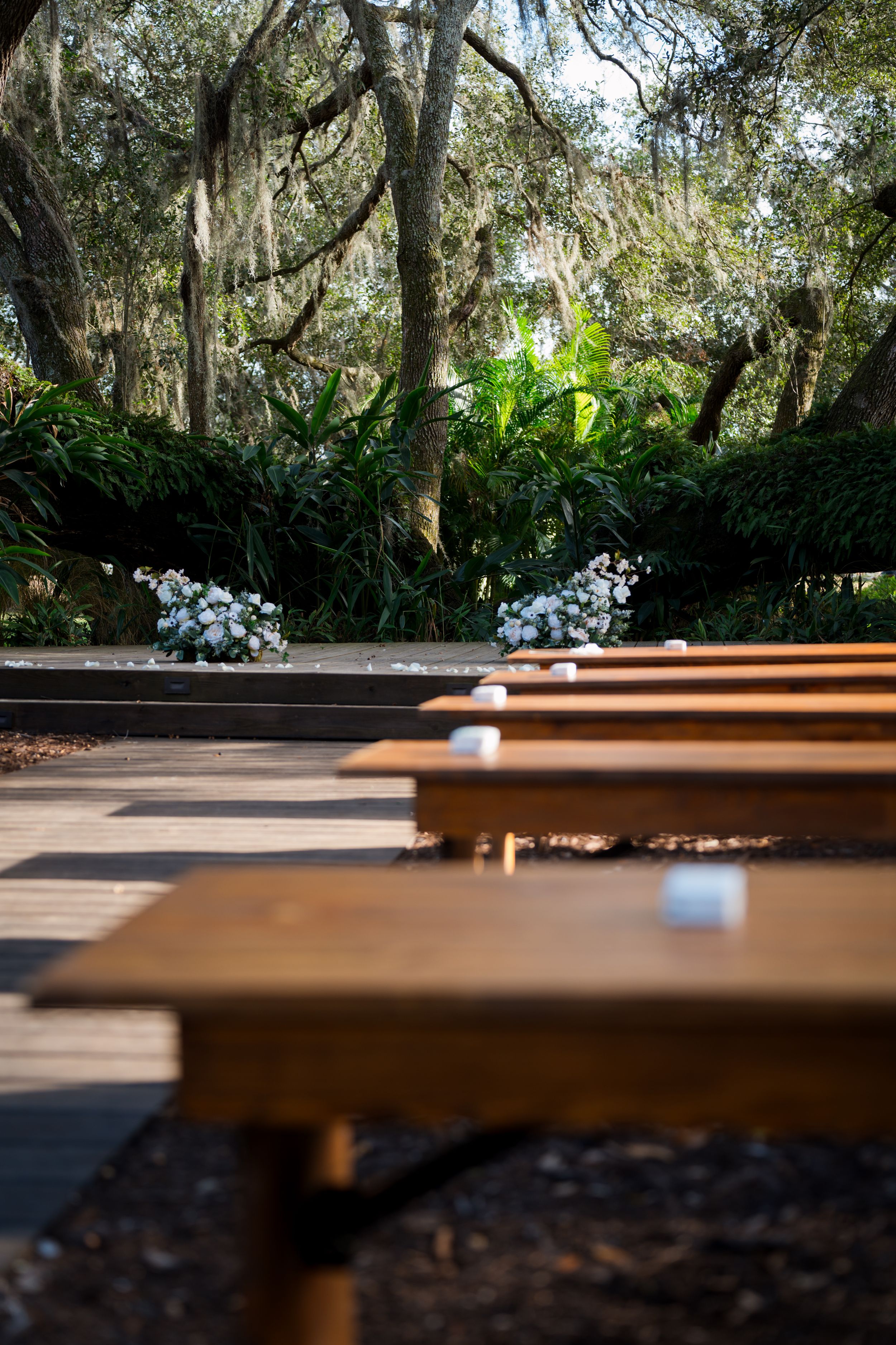 Rows of wooden benches at an outdoor ceremony space with Spanish moss draped trees and white floral arrangements.
