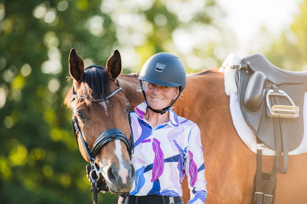 Bay quarter horse dressage horse and rider portrait photo