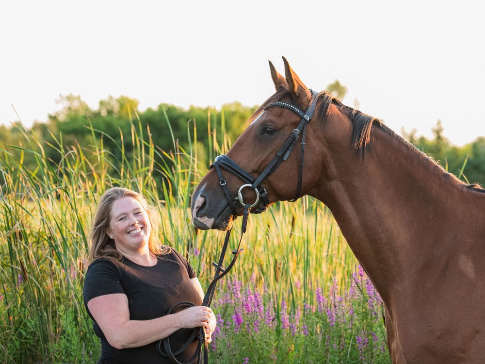 Bay warmblood dressage horse and rider portrait photo