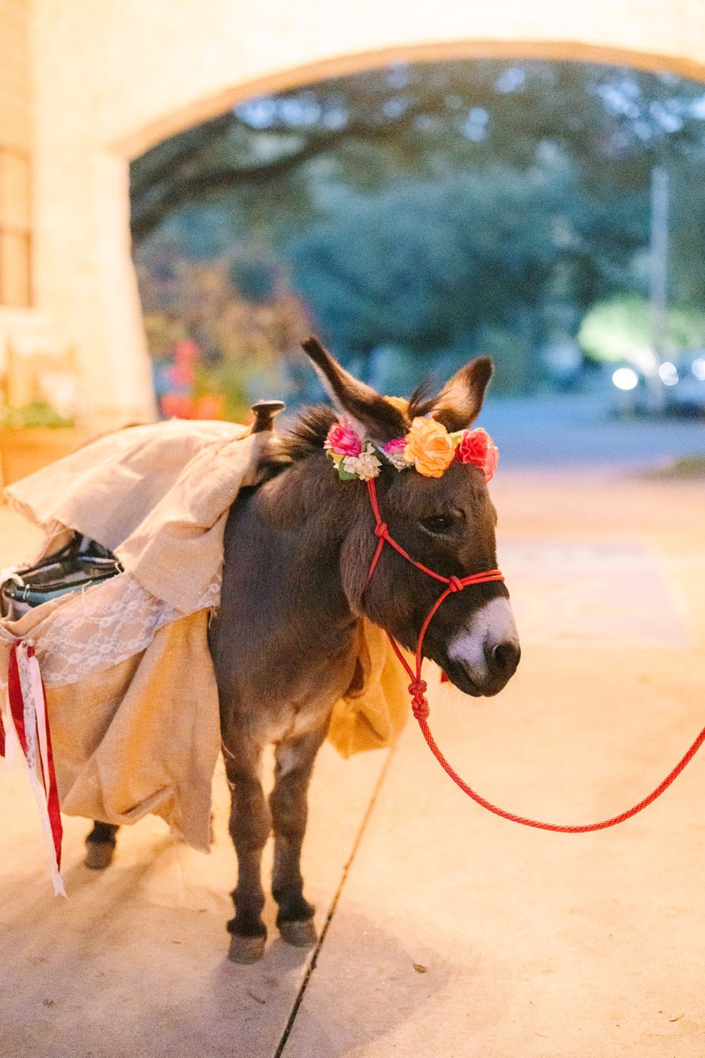 A donkey wearing a pink floral crown and red lead rope decorated with white tulle fabric for a wedding event.