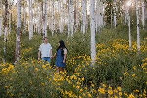 Sunlit birch forest filled with blooming yellow wildflowers creating a magical woodland scene.