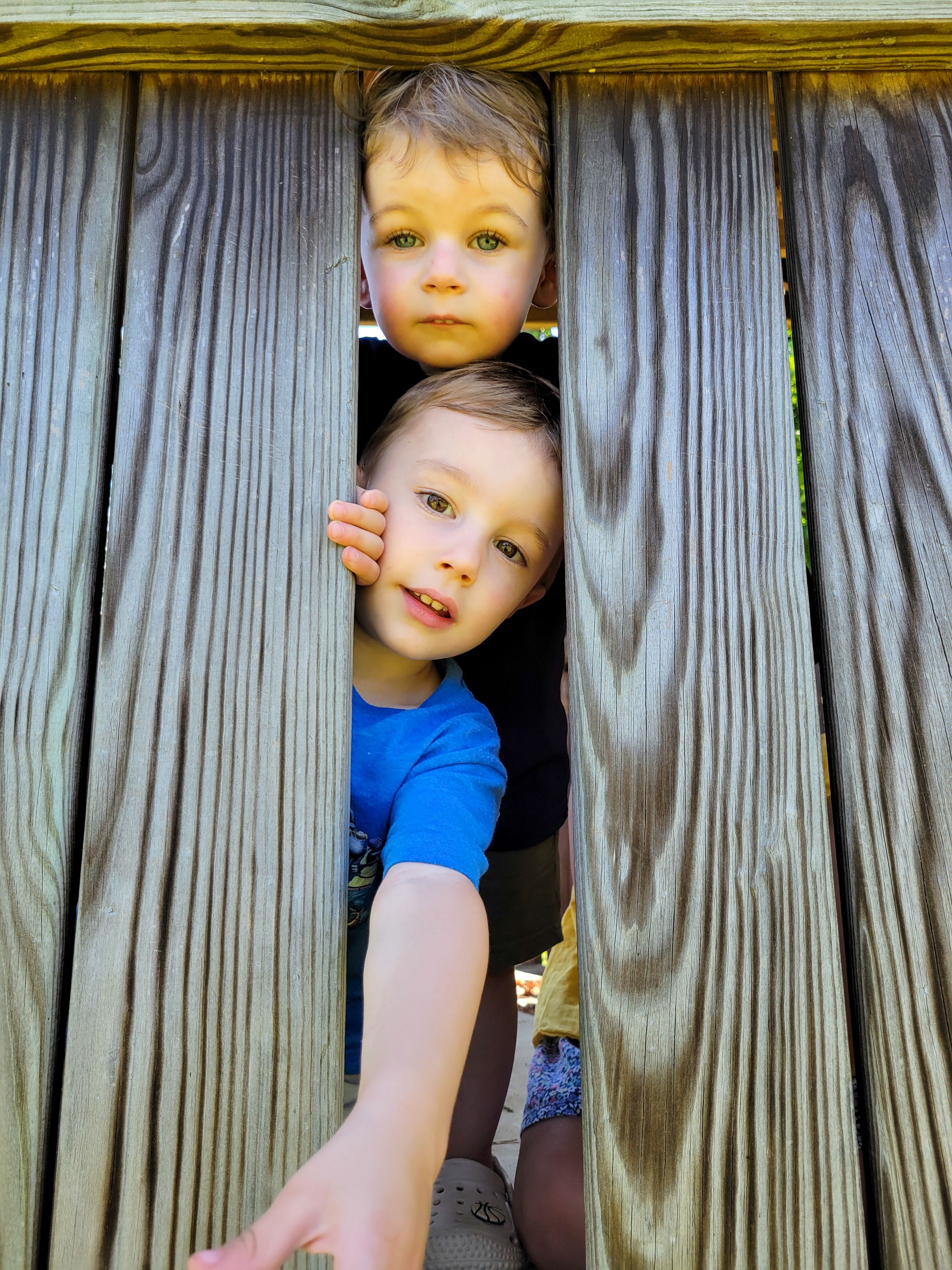Children peek playfully through wooden fence slats on a sunny day.