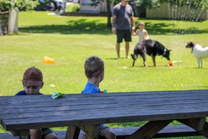 People enjoying a sunny day at a park with picnic tables and green grass.