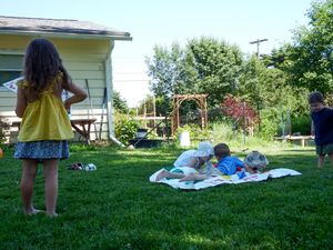 View of backyard with grass and house visible in background.