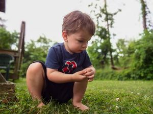 Child exploring and crawling in grass on sunny day.