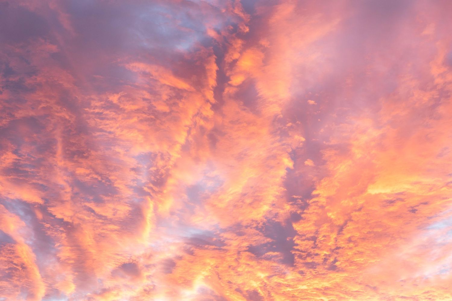 Fine art photography for your home.  Healing powers of nature photography for your home.