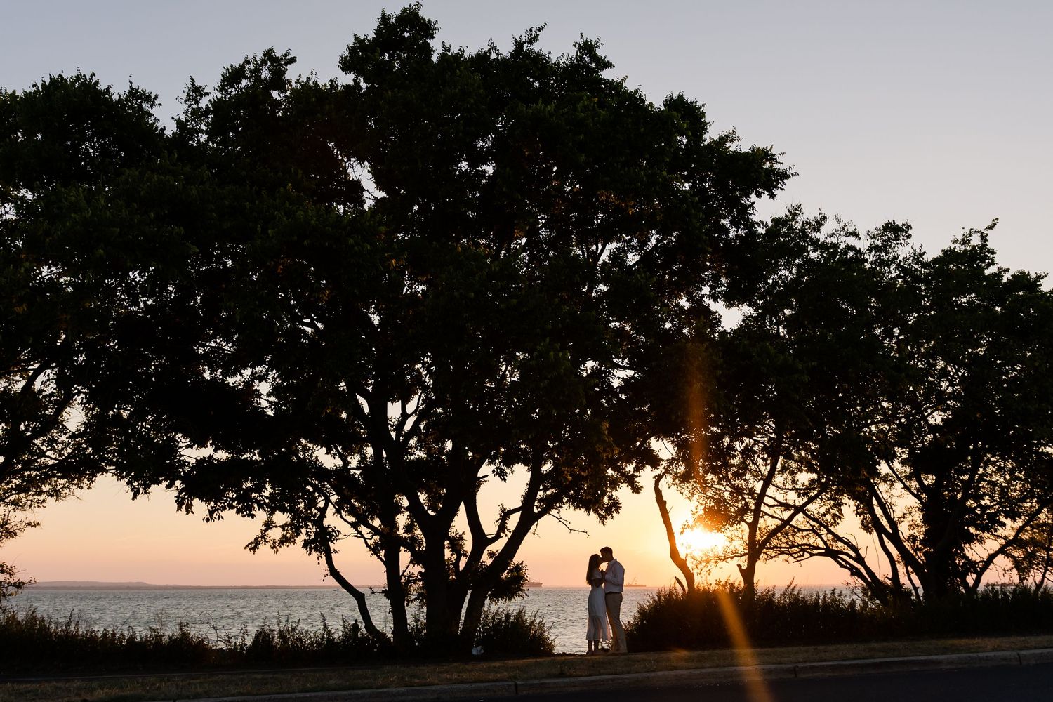 Silhouetted trees against a dramatic sunset sky.