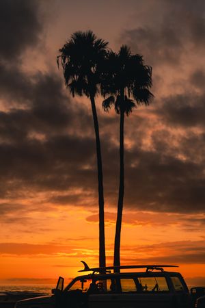 Palm trees and cars silhouetted against a dramatic orange and gold sunset with cloudy skies.