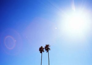 Two palm tree silhouettes against a bright blue sky with intense sun flare.