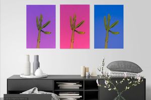 Three artistic panels showing a single plant stem against purple, pink, and blue backgrounds in a modern room setting.