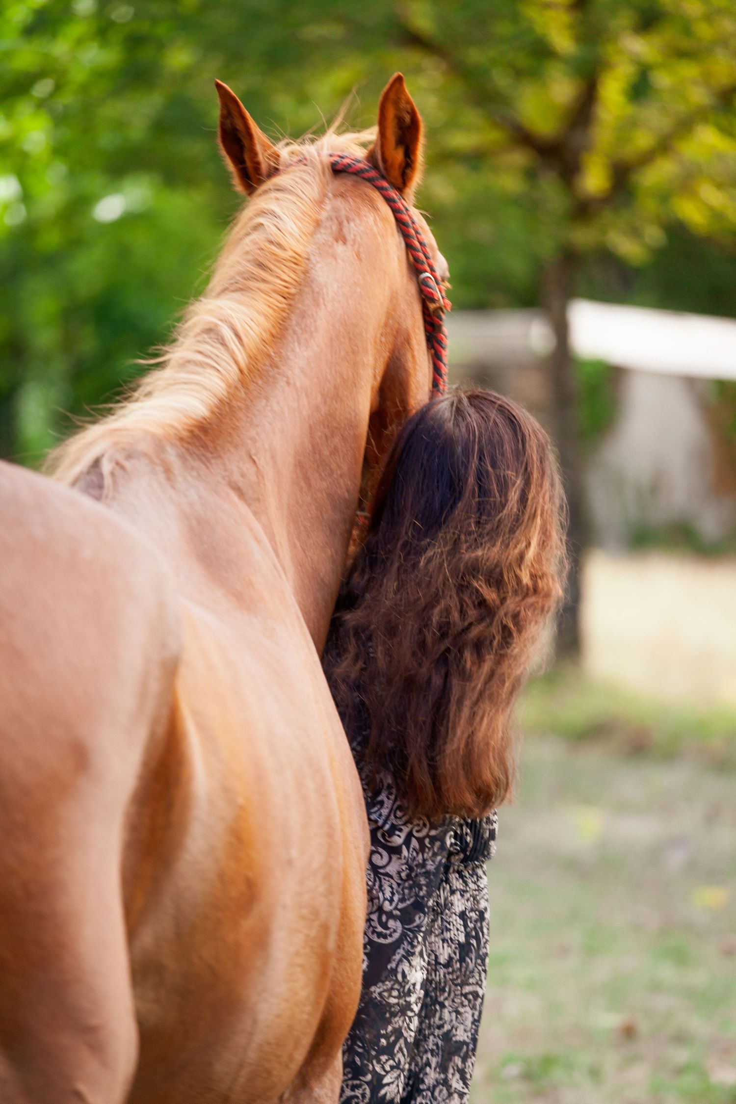 A chestnut horse stands beside someone wearing a patterned dress in an outdoor setting.