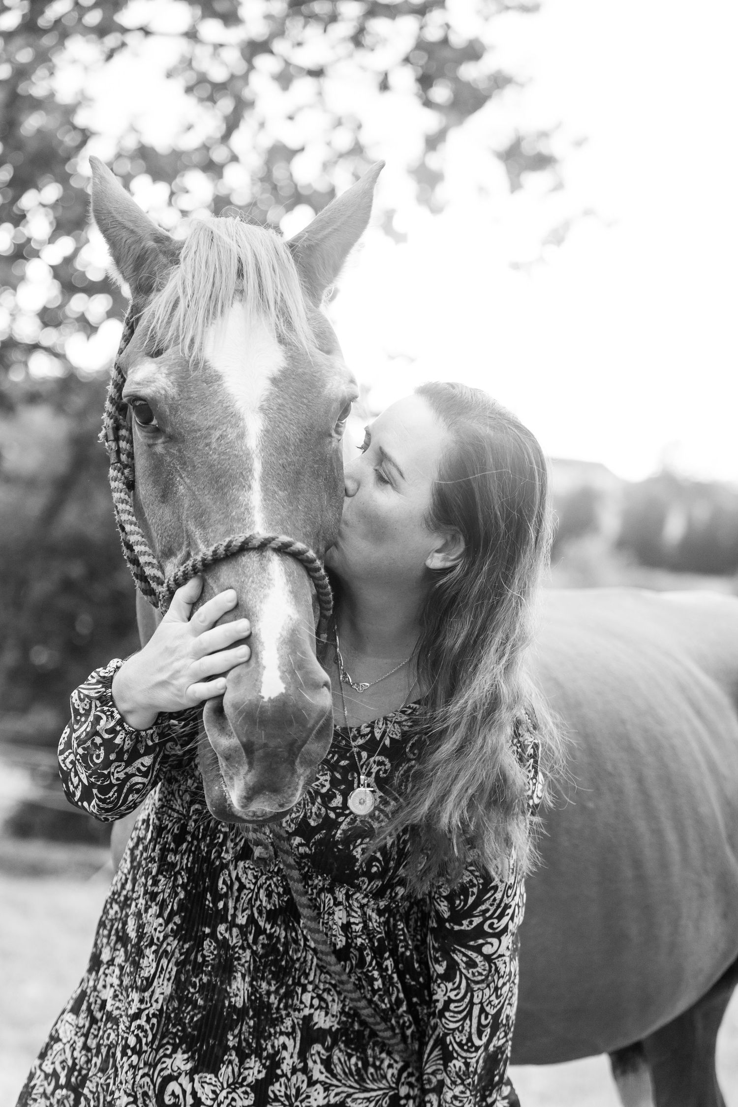 Black and white photos capturing tender moments between a horse and companion.