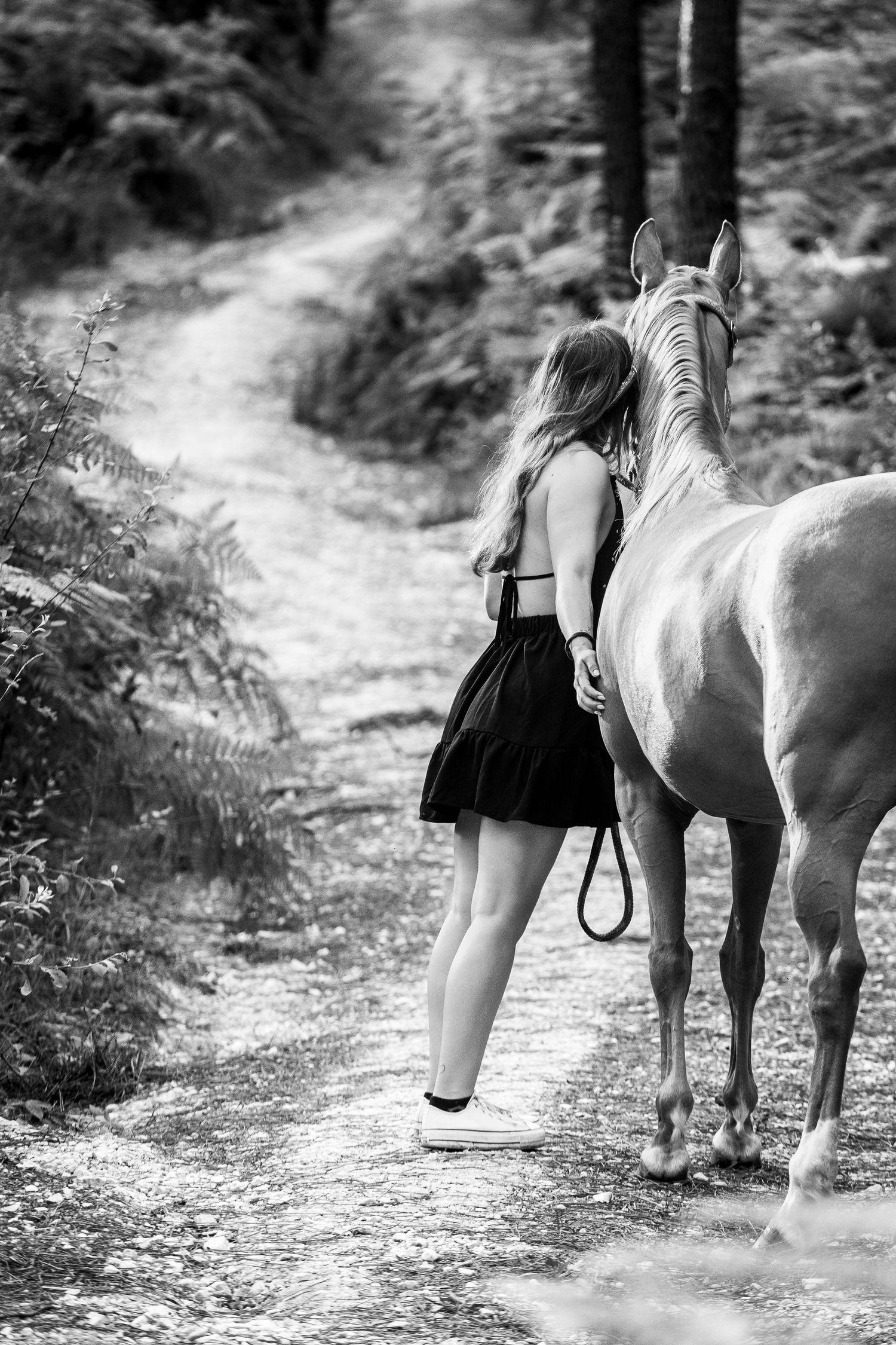 Black and white photo of someone walking with a horse on a winding forest trail.