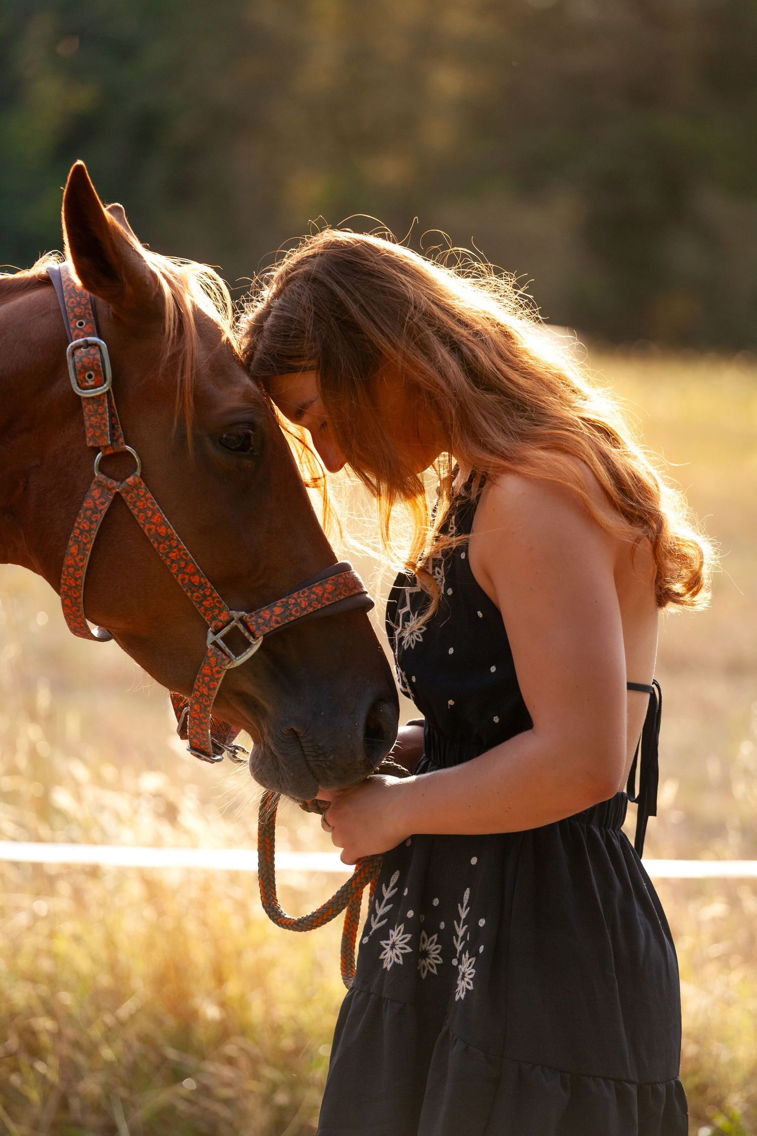 An intimate bonding moment with a horse during golden hour sunset.