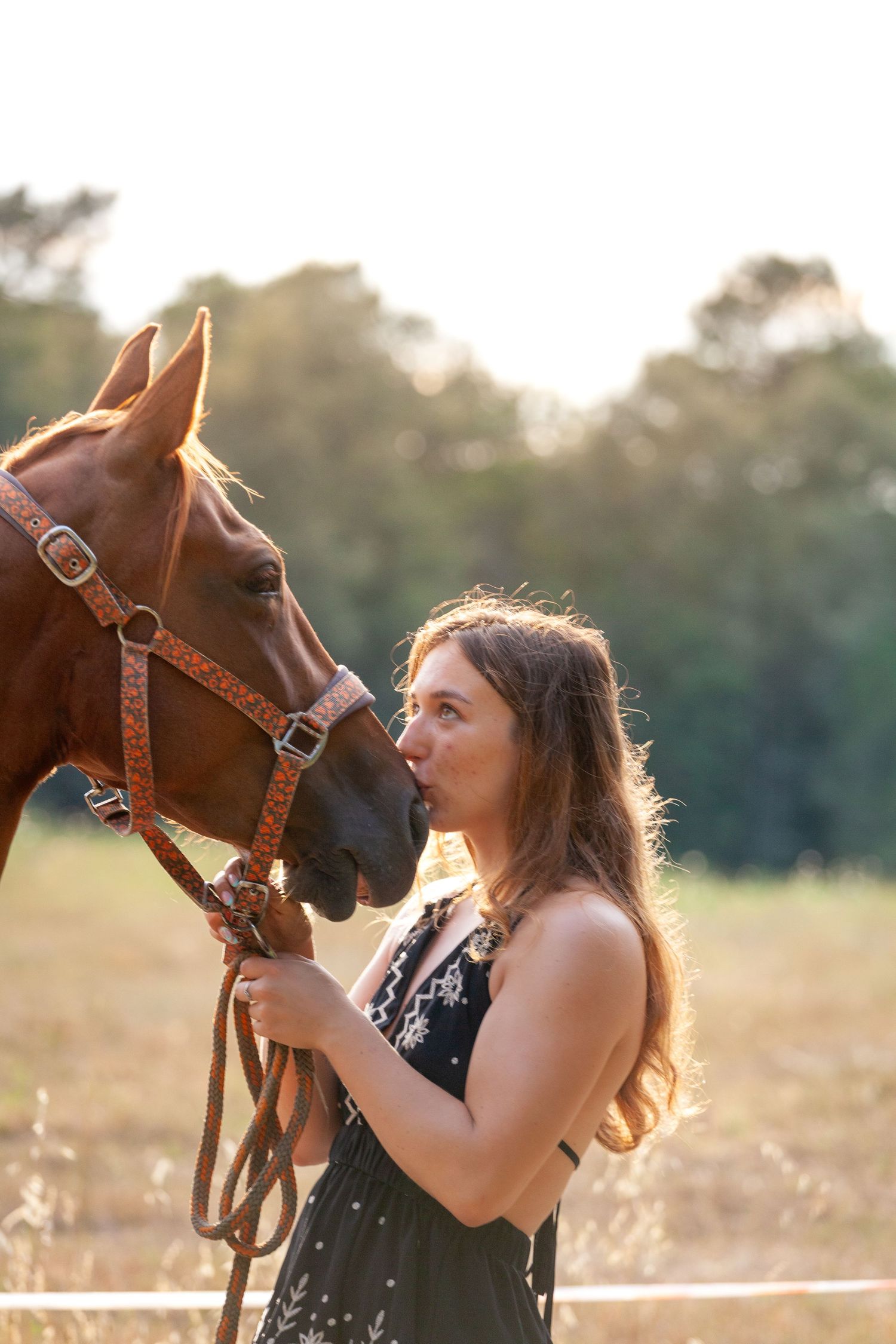 A sweet interaction with a brown horse in a sunlit field at dusk.