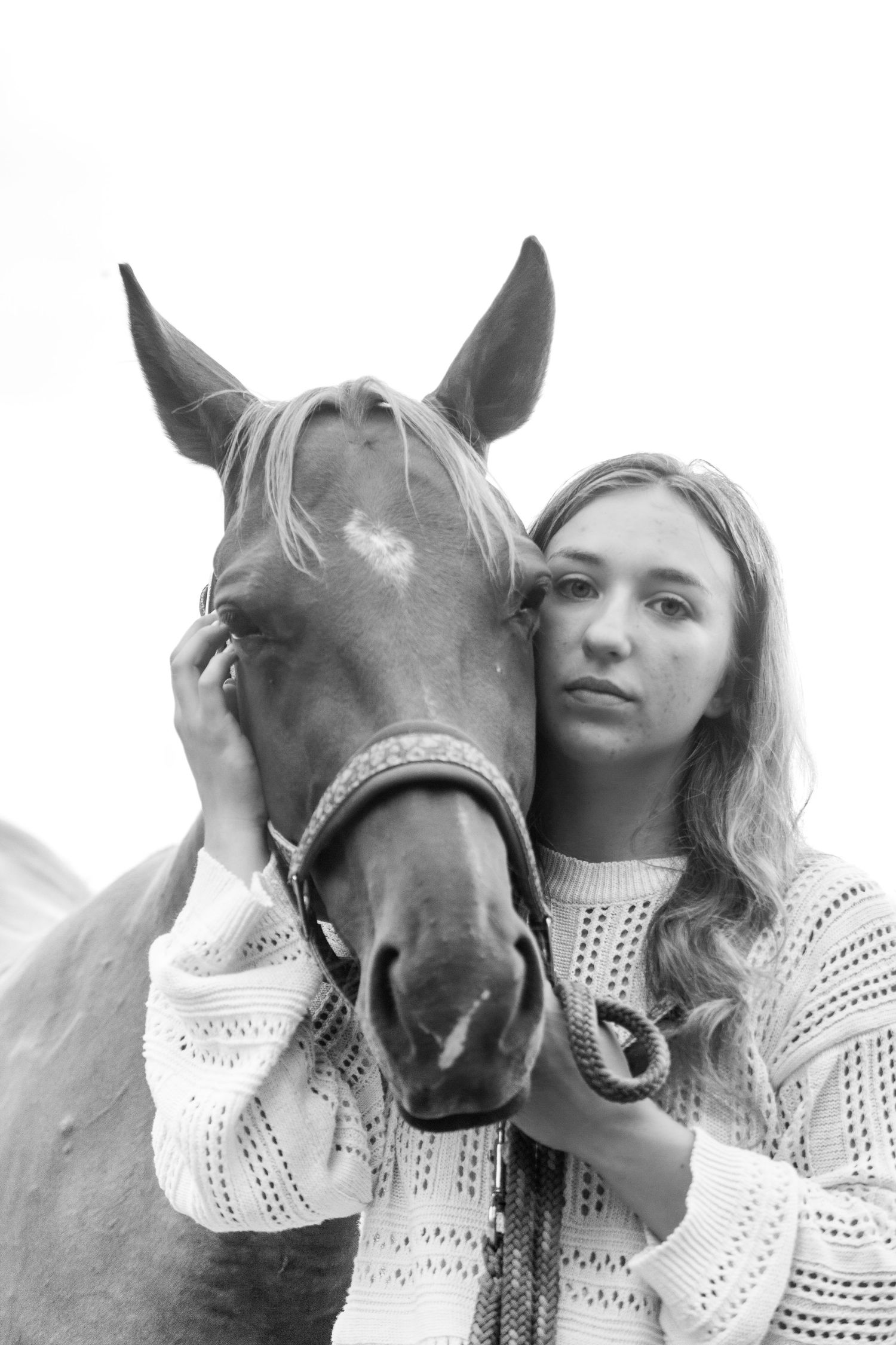 A series of black and white photos showing tender moments between a horse and companion.