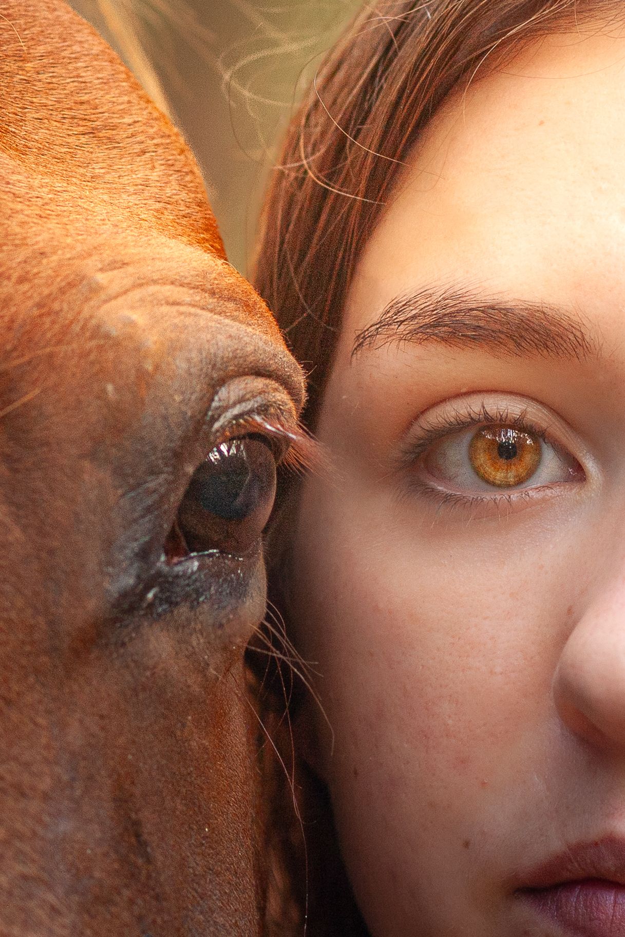 Extreme close-up showing the eye of a chestnut horse next to someone's face.