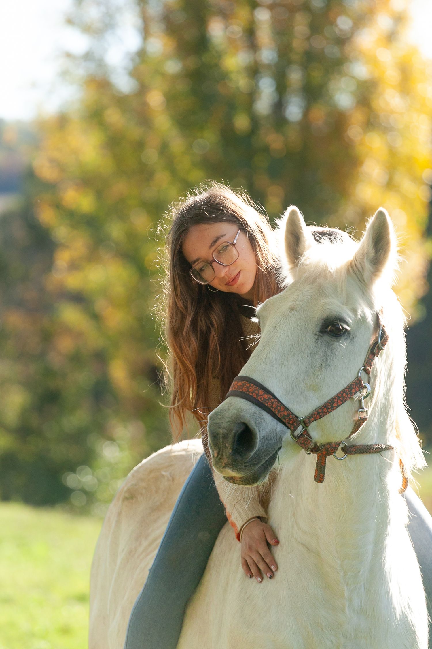 Tender moments between a person and white horse captured in warm sunlight against autumn foliage.