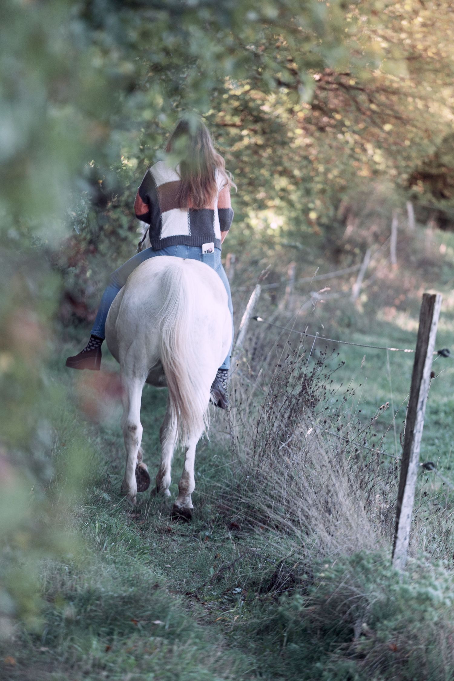 Sequential shots of a white horse and rider walking through brush in a natural setting.