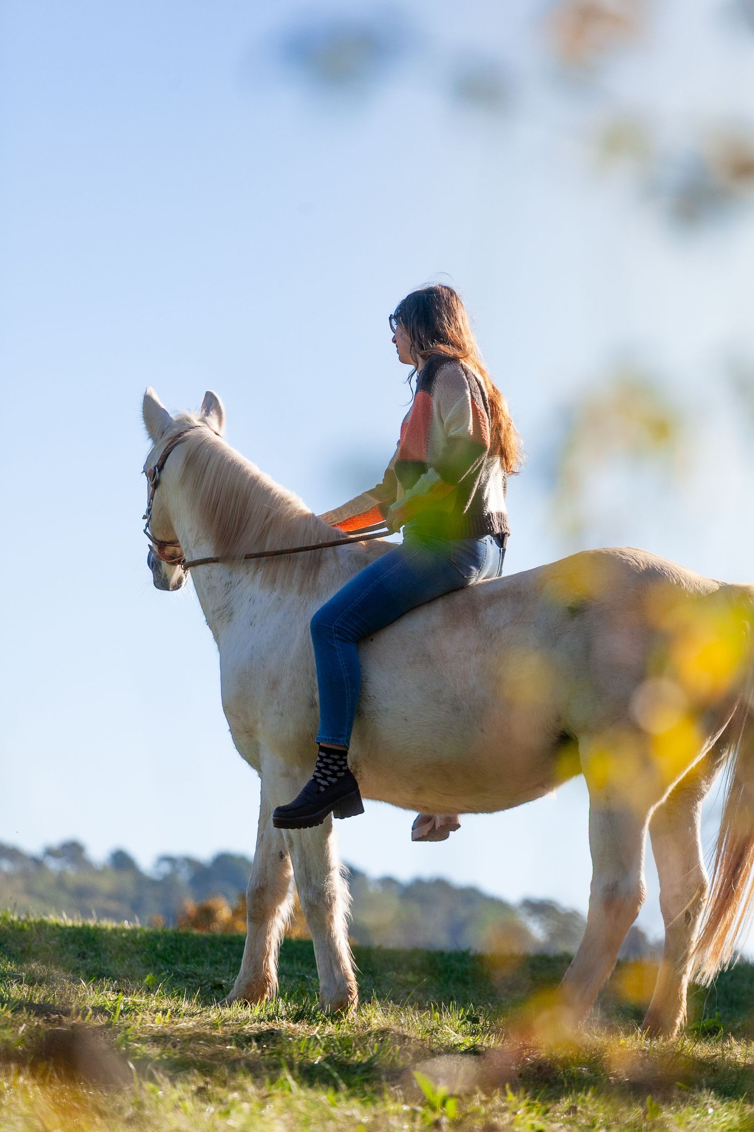 White horse and rider photographed through blurred foreground elements in golden afternoon light.