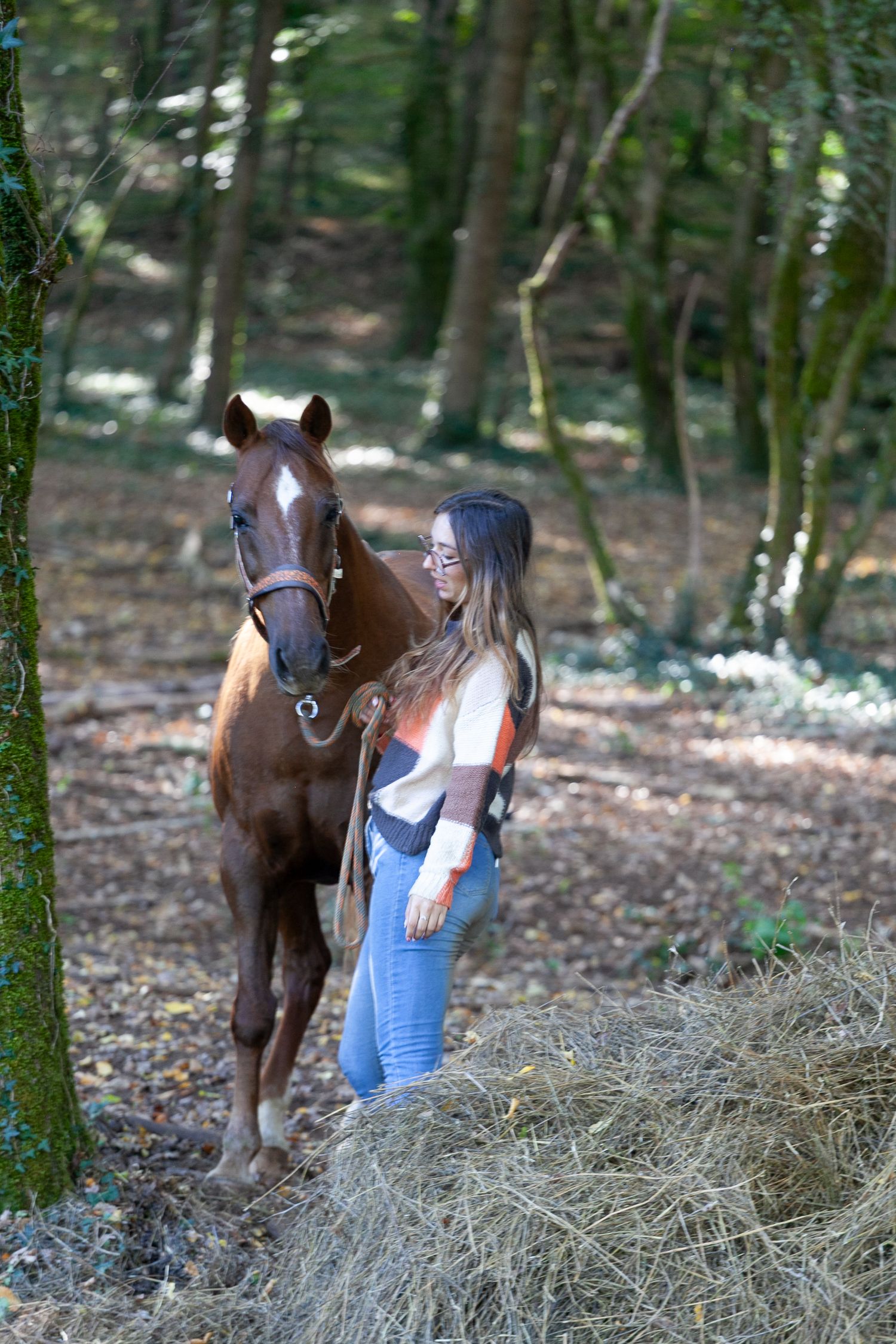 Person interacting with a brown horse near hay in a wooded forest setting.