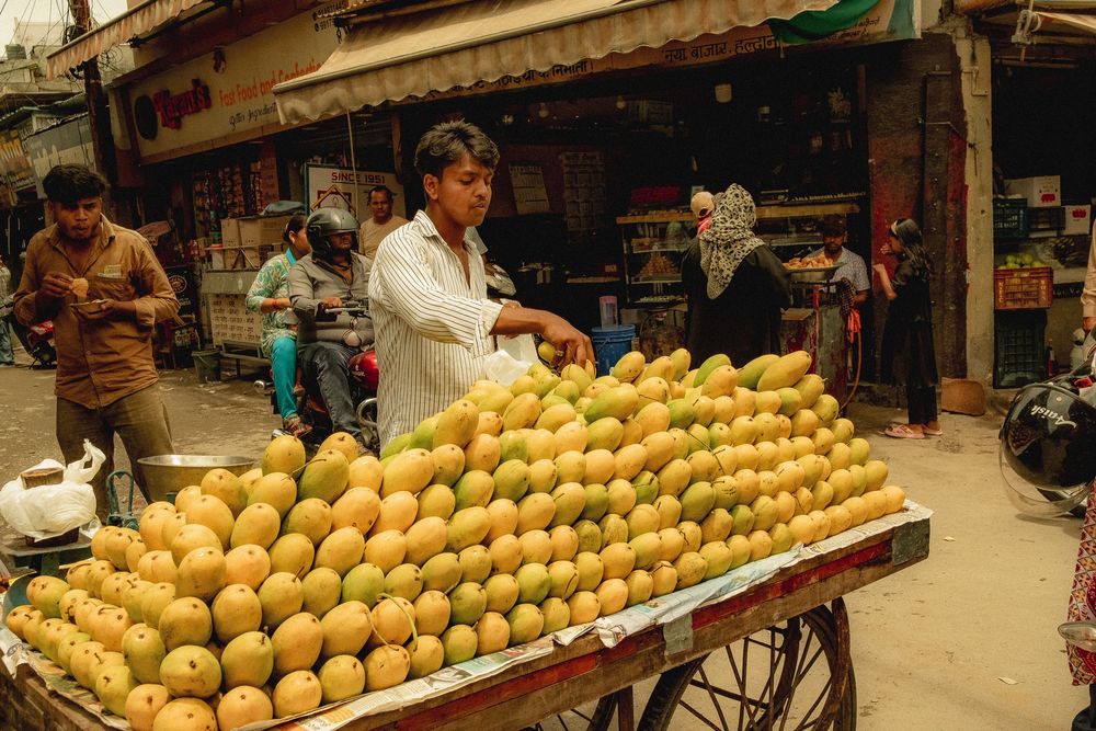 Large display of fresh yellow mangoes arranged in neat rows at an outdoor market stall.