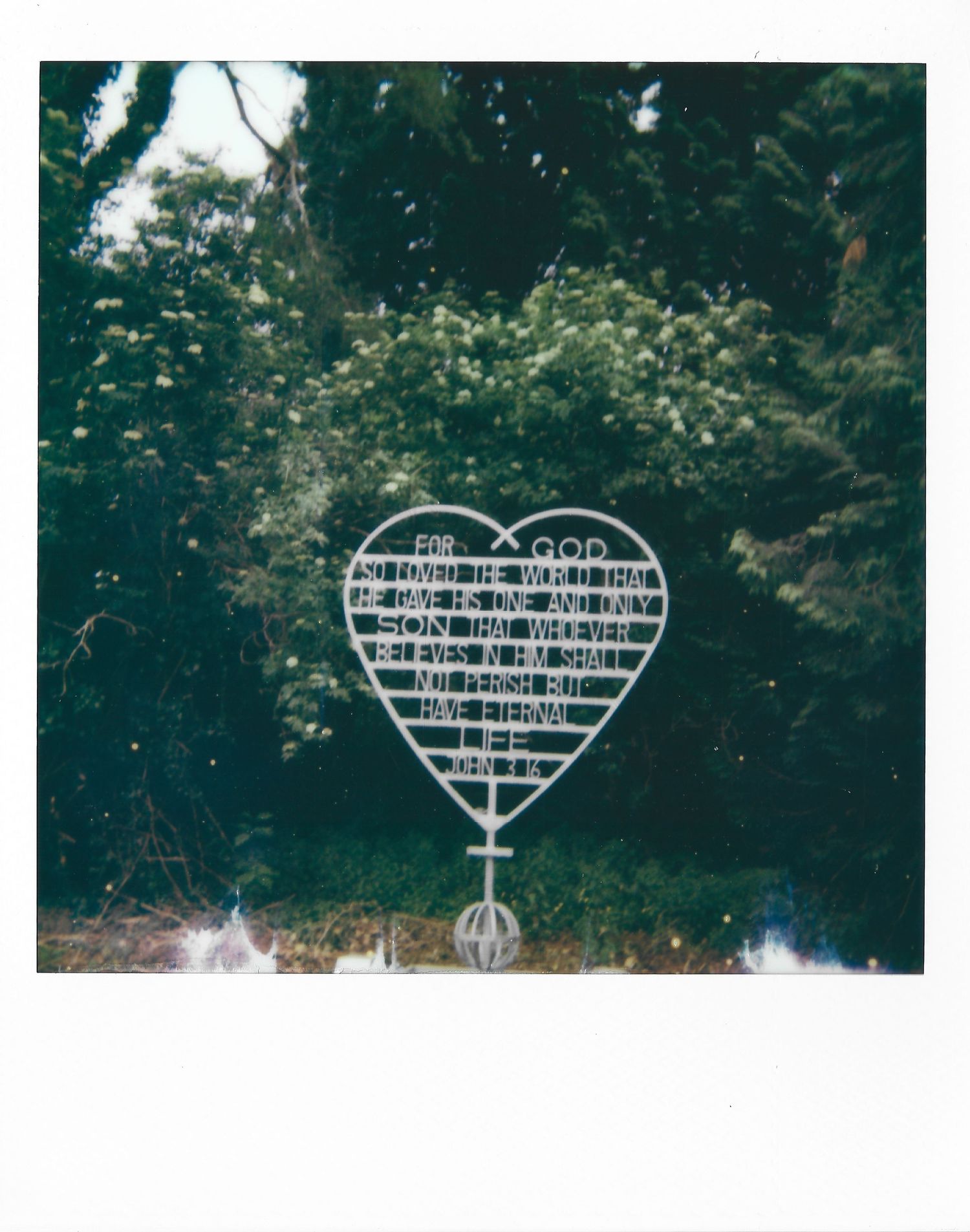 A decorative metal heart sculpture with grid pattern design stands in a garden against lush greenery in a polaroid-style photo.
