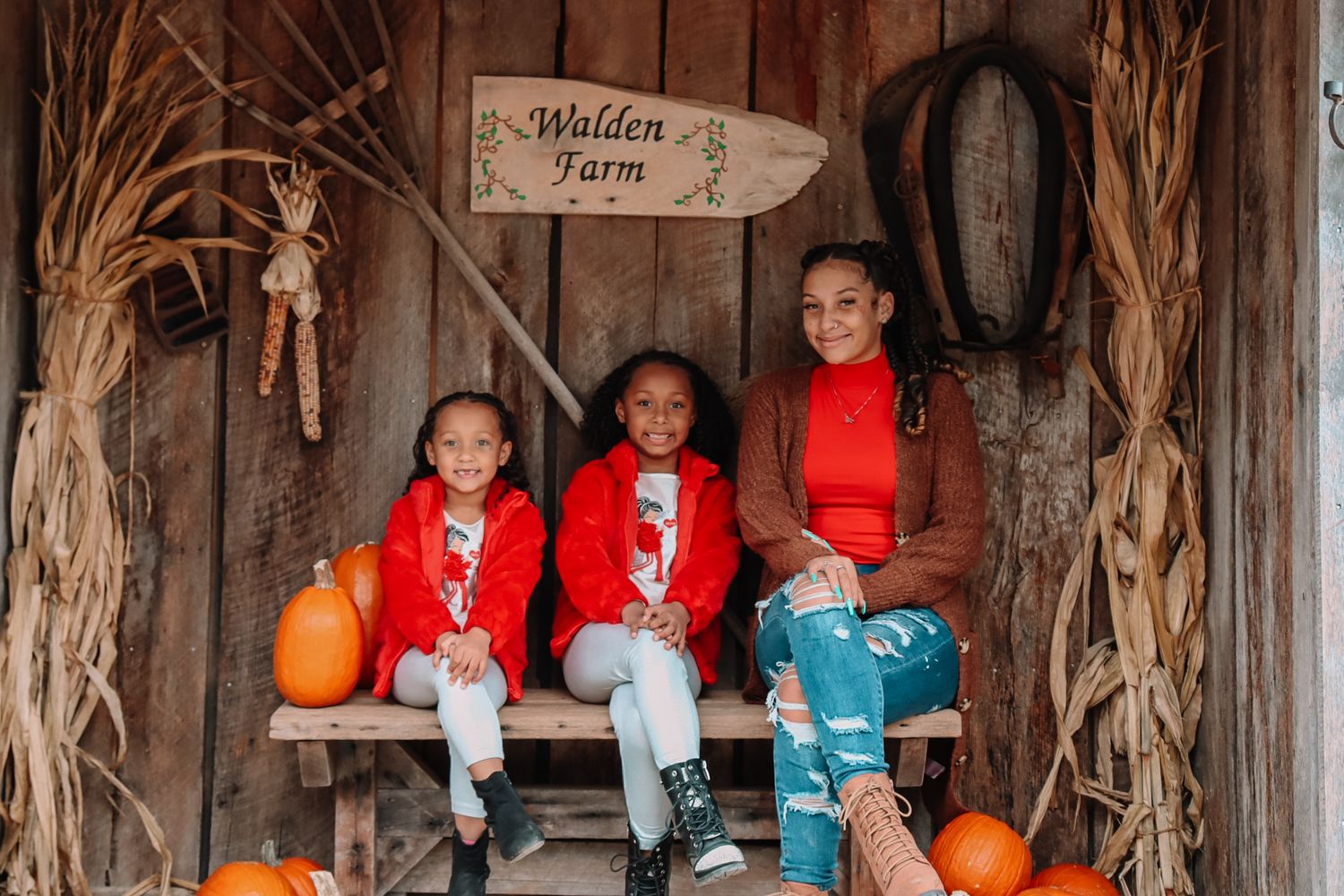 Group sitting on wooden benches inside a rustic barn decorated with autumn corn stalks and pumpkins for fall festivities.