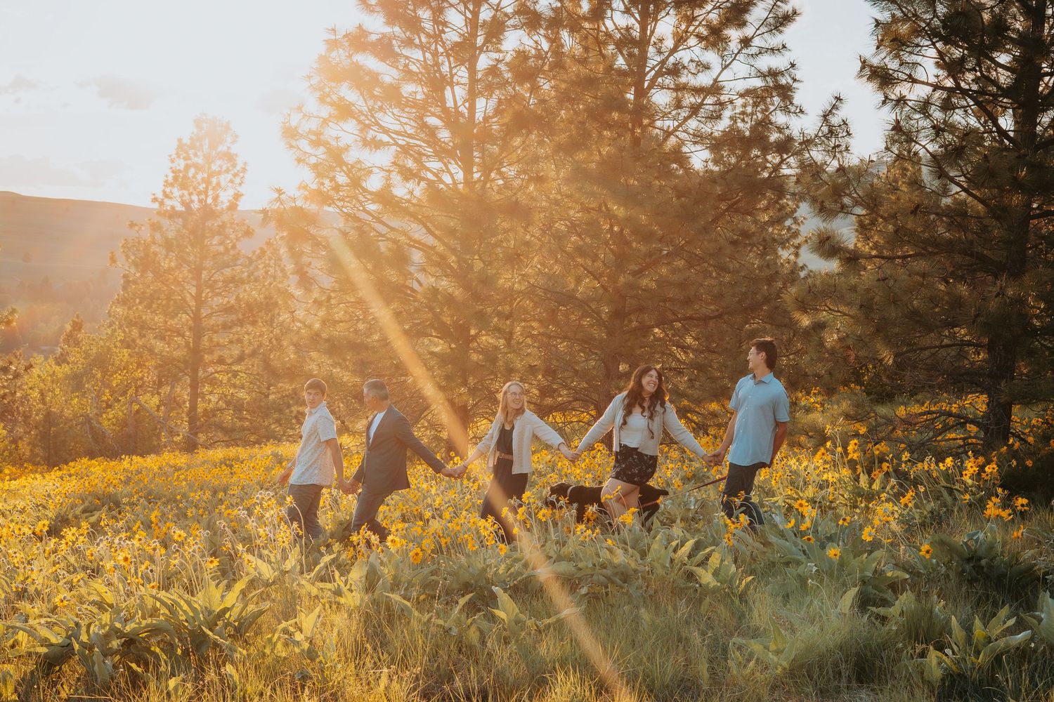 A group silhouettes jump together in a golden field at sunset with trees in the background.