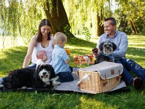 family enjoying a picnic