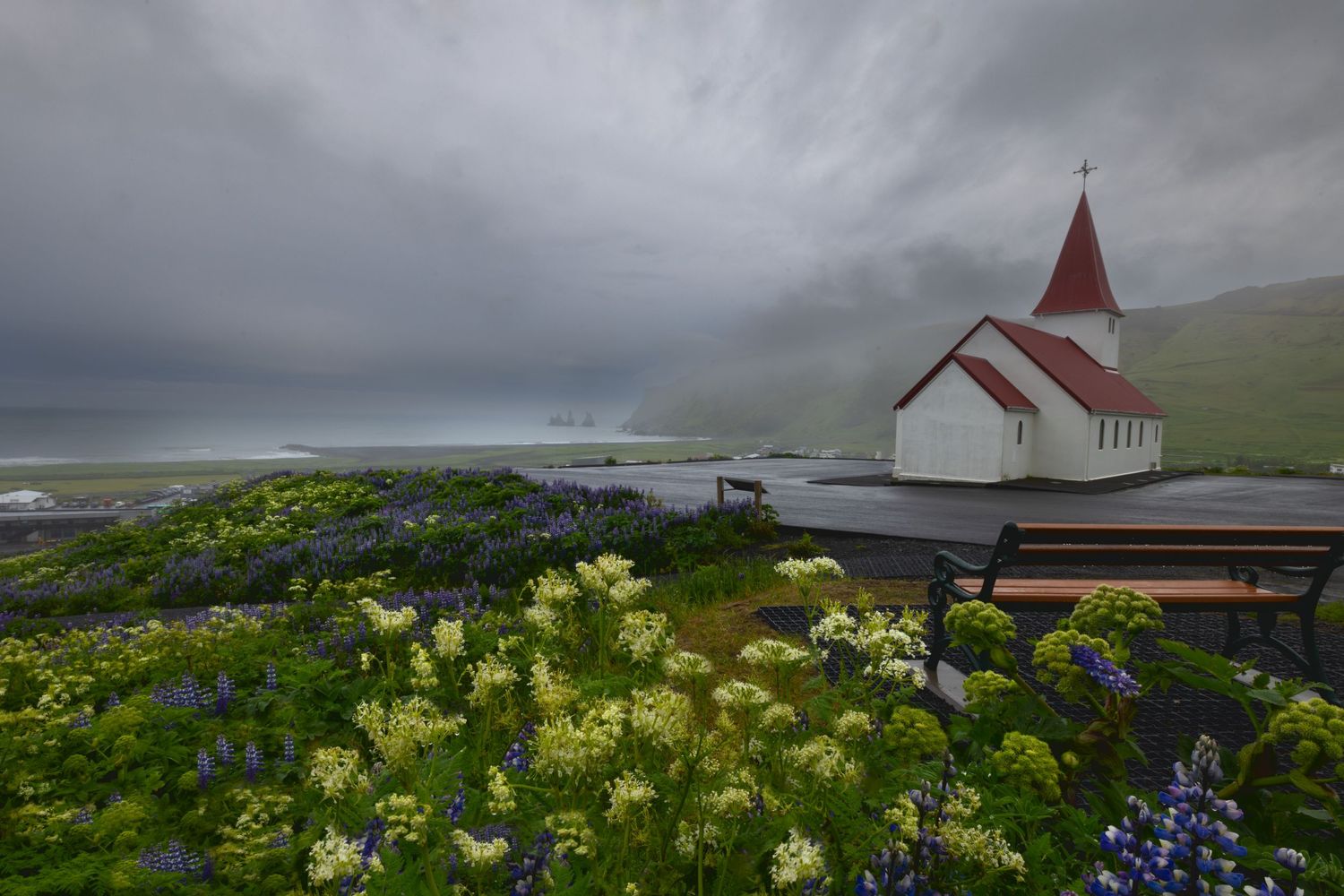 The church at Vik on a stormy day with lupines and wild celery growing at the church
