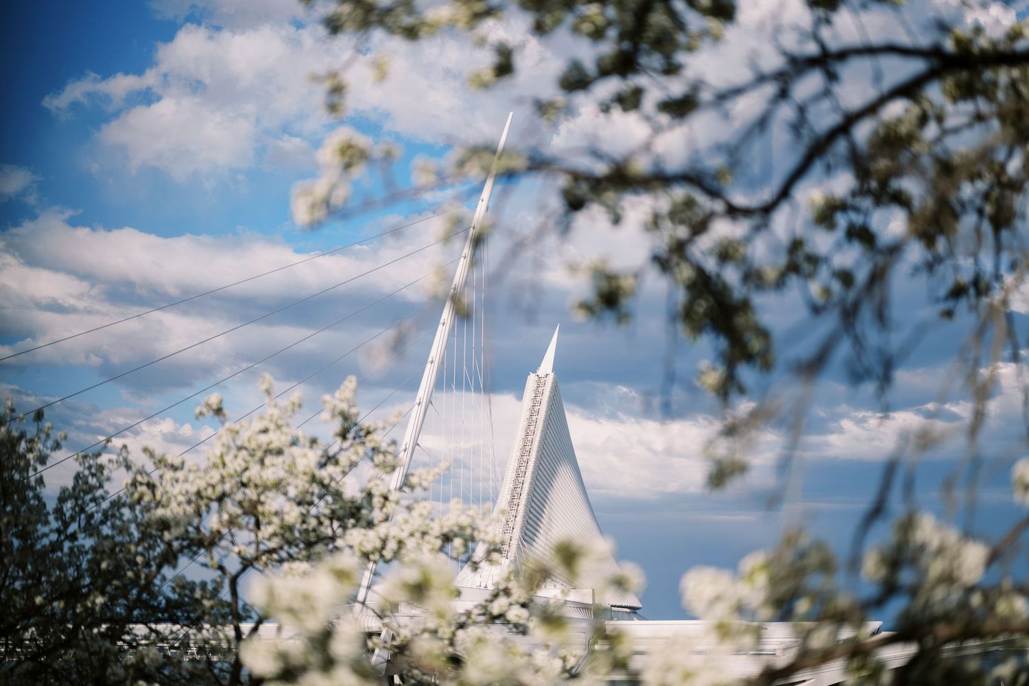 White church steeple rises against blue sky with soft-focus cherry blossoms in foreground.