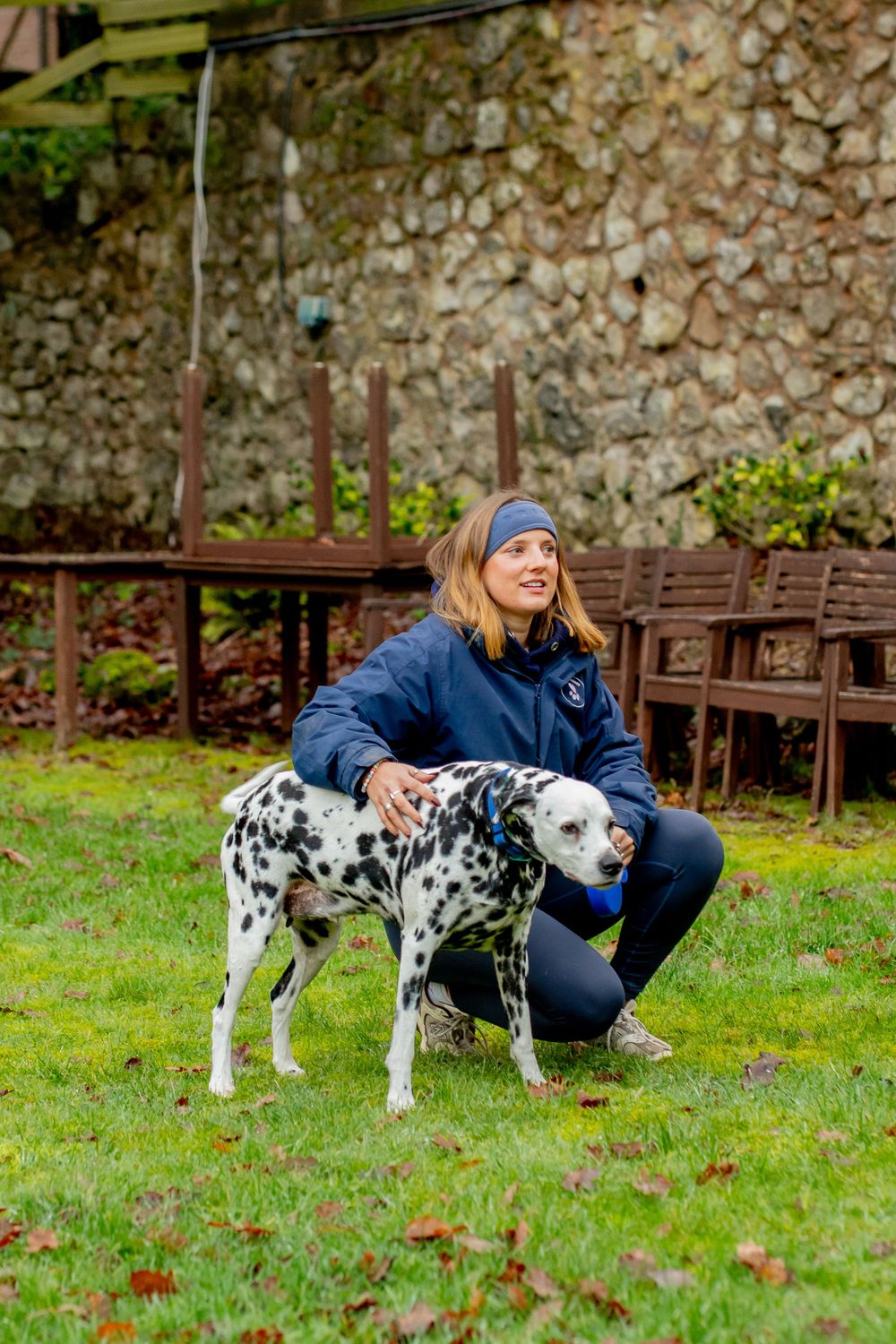 A spotted Dalmatian dog stands next to someone wearing blue on a grass lawn with stone walls and wooden benches in background.
