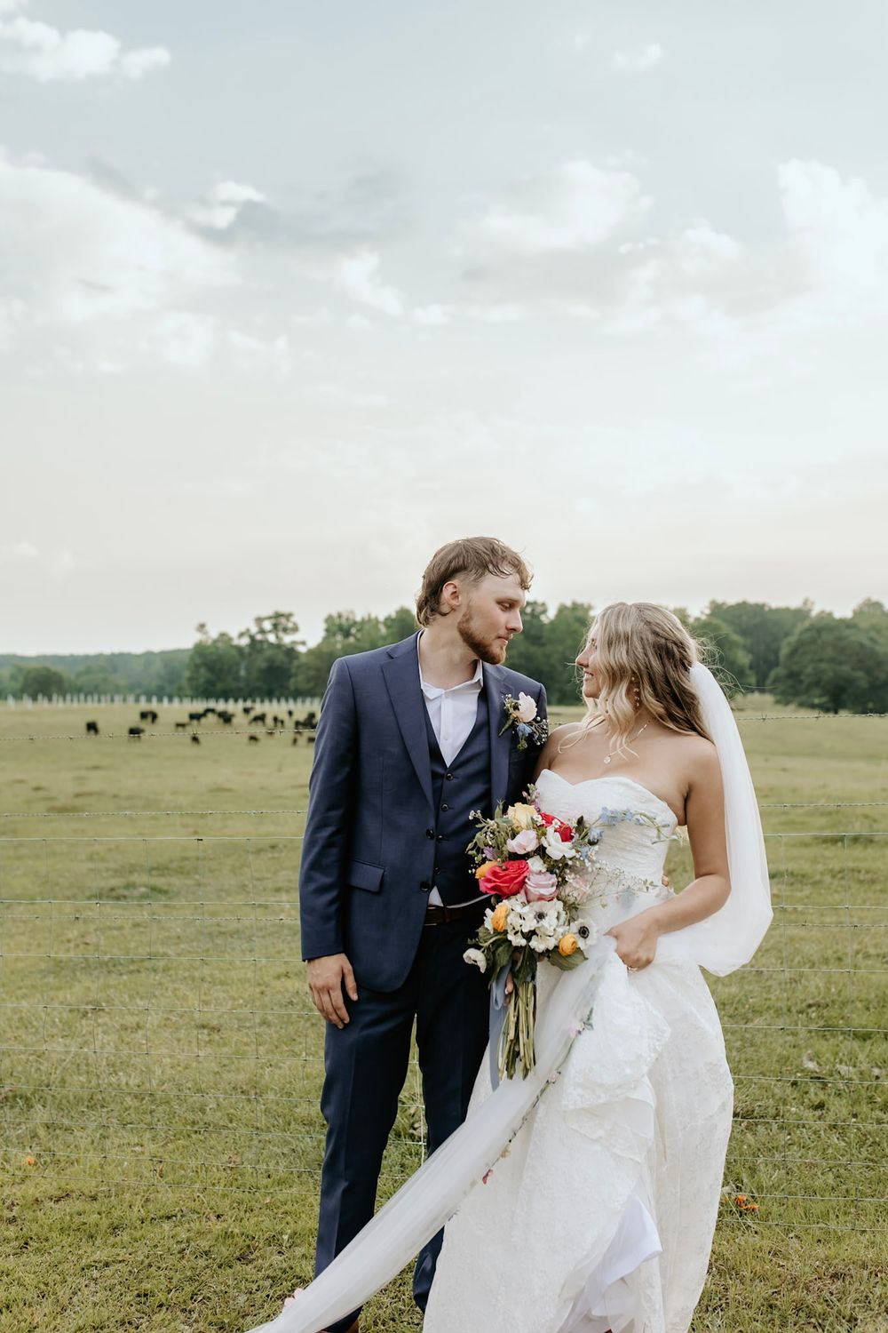 A wedding couple stands together in a green field with grazing cattle in the background on an overcast day.