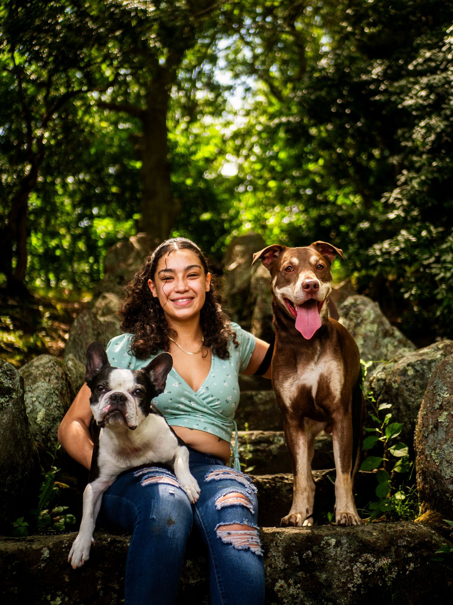 A person sits with two happy dogs on stone steps in a lush green forest setting.