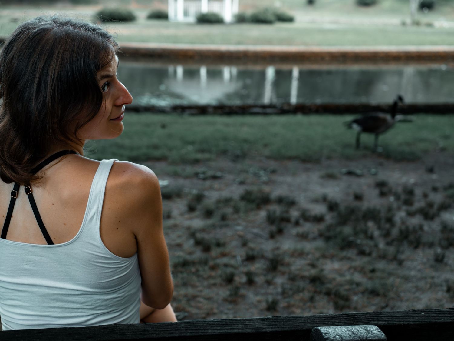 A person in a white tank top watches a horse grazing in a misty field at dusk.