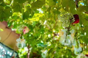 Decorative glass lanterns hang from tree branches with green leaves in natural sunlight.