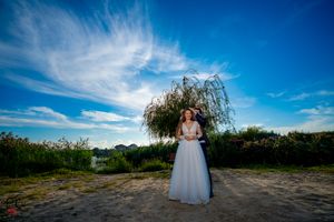 Wide angle view of a wedding ceremony site with willow trees and clear blue skies.