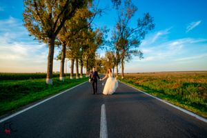 A couple walks along a scenic country road lined with tall trees during sunset.